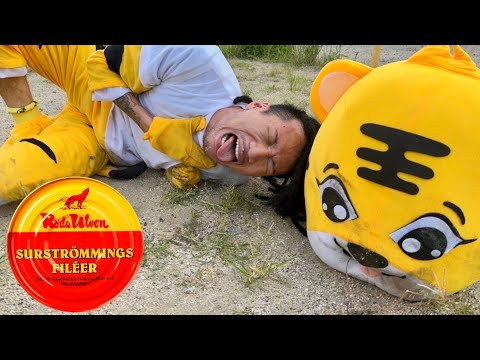 ぬいぐるみの中に世界一臭いシュールストレミング入れてみた【ドッキリ】