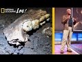 Expedition Discoveries and Challenges