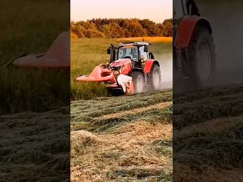 Harvesting #shorts #ytshorts #youtubeshorts