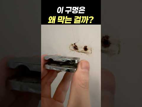 이 구멍은 왜 막는 걸까?(혼자 사는 여자도 가능합니다)
