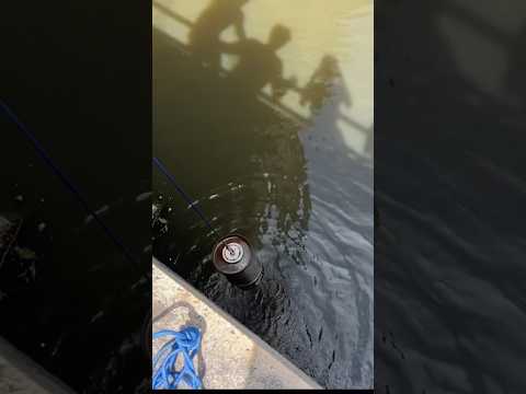 Magnet Fishing a Deadly Canal!