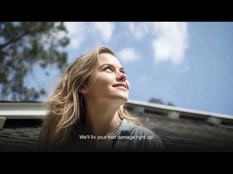 AAAC Wildlife Removal - Palm Beaches - Raccoon Pest Removal Boynton Beach