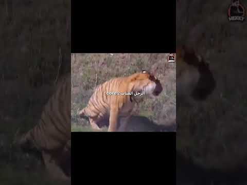 الرجل العناب 😂😂