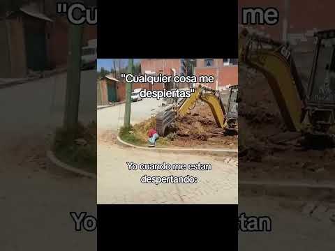 despierten looooo