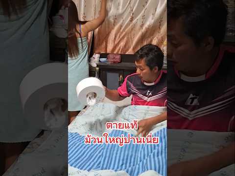มื้อนี้ขอลา #ตลกฮาๆ #คู่รักสายฮา #เปิดค่าการมองเห็นดันขึ้นฟีด #comedy