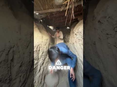 Two gorillas are trapped inside the tunnel