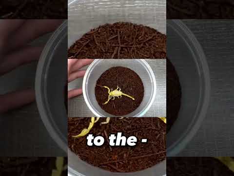 🌳Inside Nature |Made by Dr. Plants|