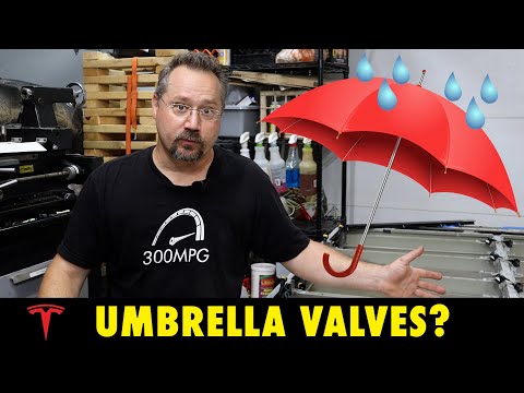 Tesla Battery Repair: Umbrella Valves