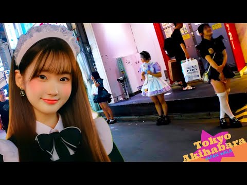 Tokyo Akihabara🐶Welcome to Akihabara♪💖4K non-stop 1 hour