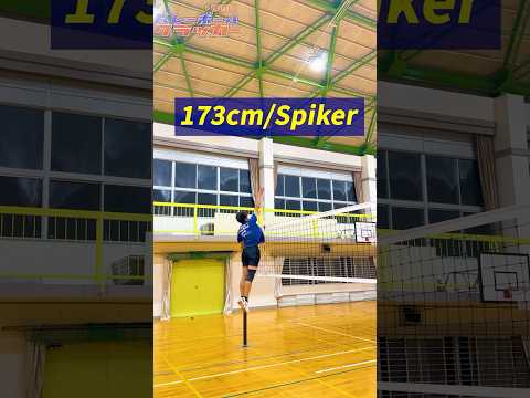 アンテナチャレンジ! #volleyball #バレーボール #haikyuuxyn