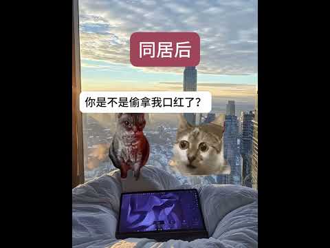 猫のユーモアと癒やしを満喫できる人気ミームと小劇場集 サムネイル