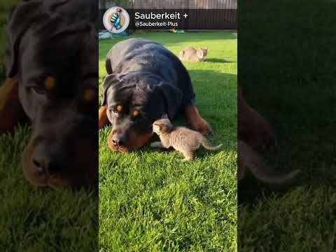 She saw EVERYTHING 😳