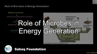 Role of Microbes in Energy Generation