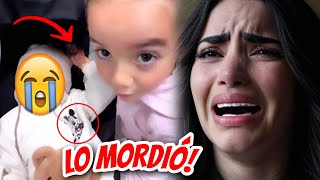 LA M0RDIERON! 🚨😭 (KIMBERLY LOAIZA SE LLEVO A KIMA Y JUANITO POR EL "AEROPUERTO"!) ⚠️ #kimayjuanito