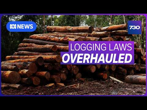 YouTube video thumbnail: Uncertainty Over the Future of Tasmania's Native Forest Logging Industry