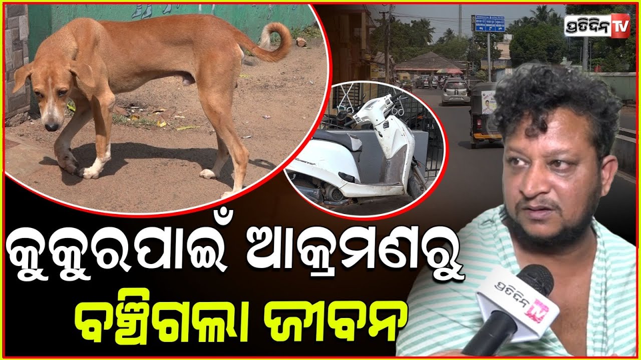 କୁକୁର ପାଇଁ ବଞ୍ଚିଗଲା ବ୍ୟବସାୟୀଙ୍କ ଜୀବନ, ବଡଗଡ ରେ ଆକ୍ରମଣ! Businessman attack by goons in Bhubaneswar.