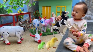 Wadidaw‼️ Proses Simulasi Potong Sapi Kurban, Beruang, Cow, Kambing, | Potong Sapi Qurbani Idul Adha