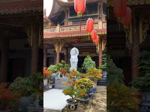 HÃY LÀ NGỌN ĐÈN CHO CHÍNH MÌNH. MƯA ƠI...