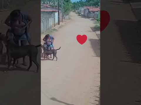 Aquele vídeo que aquece seu coração ❤️ #viral #shorts #animals