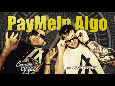 EXCLUSIVE Algorand Music Video! (PayMeIn.Algo)
