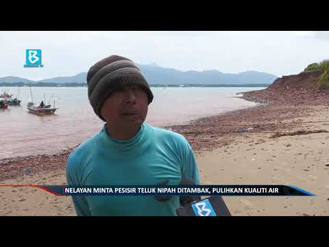 Nelayan minta pesisir Teluk Nipah ditambak, pulihkan kualiti air