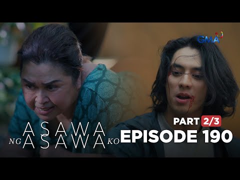 Asawa Ng Asawa Ko: Ka Usa risks her life for Leon! (Episode 190 - Part 2/3)