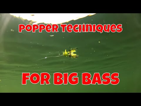 FLY FISHING TECHNIQUES FOR BIG BASS