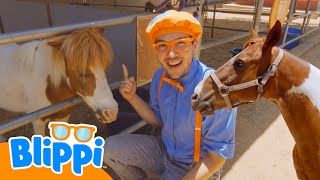 Blippi auf der Tierfarm 🚜🐎 Blippi Deutsch | Abenteuer und Videos für Kinder