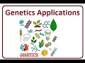 Genetic Engineering Concepts and Applications