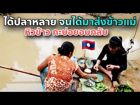 เอาข้าวมาส่งแม่ ยกยอได้ปลาเยอะไม่ยอมกลับบ้าน | My mom she is happy to catch fish