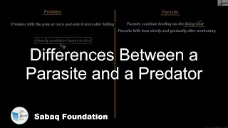 Differences Between a Parasite and a Predator