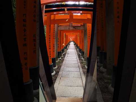 Got lost in this loop in Japan 🫨