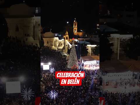 🌲 Regresa el árbol de Navidad a Belén después de 2 años de Guerra🙏🏻