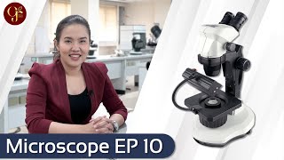 บทที่ 10 Microscope