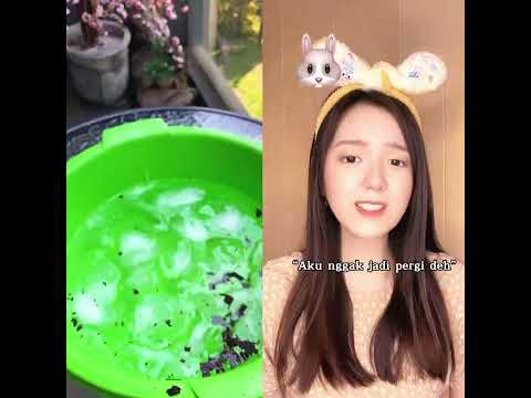 #interesting #popular #humorous #funnyvideo #viralvideos #trending
