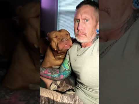 Xxl sunday #xxlbully