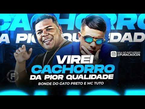 VIREI CACHORRO DA PIOR QUALIDADE - BONDE DO GATO PRETO - MC TUTO - FORROZIN 2025 VIRAL TIKTOK
