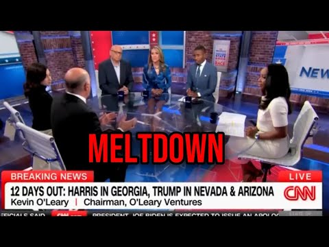 CNN Panel LOSES IT