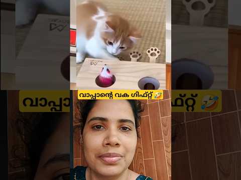 കിളിനെ ഒന്ന് പിടിച്ചത്തരുമോന്നു🤣🤣 #funny #youtube #shortsvideo #trending #shortsfeed #cat #laaljor