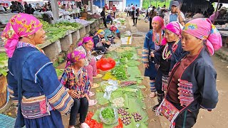 中緬邊境古樸的山地集市，奇特的檳榔膏，愛伲族藝術品般的服飾繡花，熱帶雨林的綠色食材，美味的芭蕉竹筒糕，熱乎牛肉湯鍋，火龍果茶田交相輝映，慢節奏寧靜的山地生活