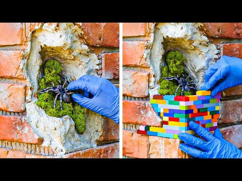 Wall Decor ideas and Repair Solutions for your Home