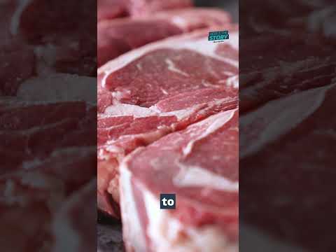Namibia is culling around 700 wild animals for meat due to a severe drought #itvnews #namibia
