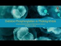 Oxidative Phosphorylation and Photosynthesis