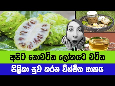 අපිට නොවටින ලෝකයට වටින පිළිකා සුව කරන විශ්මිත ශාකය - Amazing Health Benefits of Noni Plant
