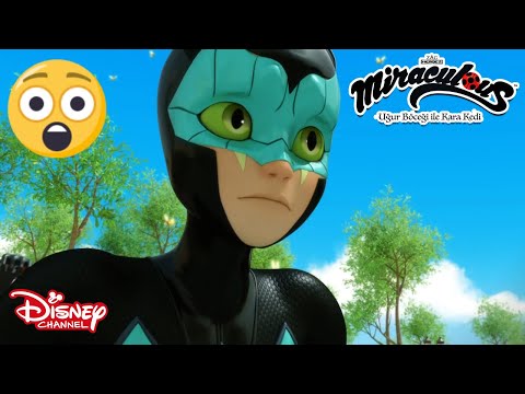 Büyük Savaş😱 | Mucize: Uğur Böceği ile Kara Kedi | Disney Channel TR