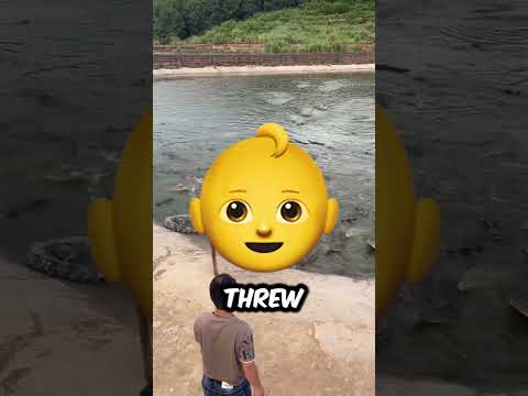 This boy hit a crocodile 😂