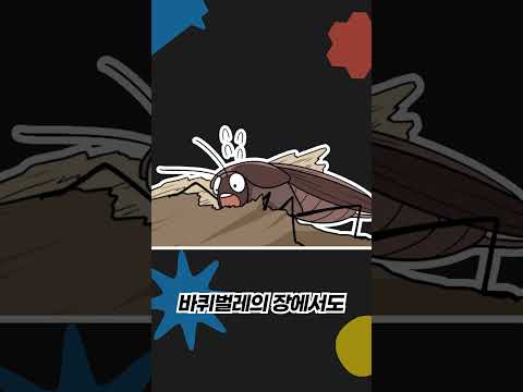 흰개미는 개미가 아닙니다?