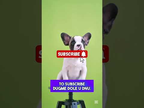 Ako Učenici Urade OVO Dobiće Peticu! 😱