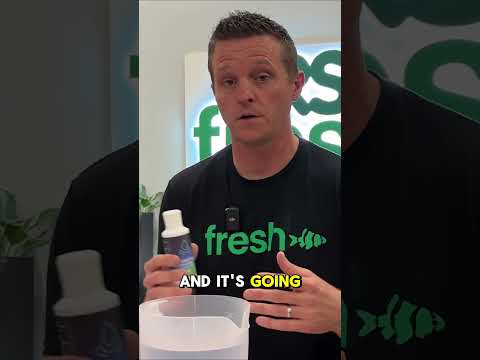 It's Not A Swimming Pool Don't let chlorine ruin your fish's water.

IN THIS VIDEO_
➡ AquaZen 4-gallon aquarium kit_ https_