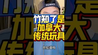 基本盘疯了！竹知了是加拿大玩具 #搞笑 #中国 #熱門